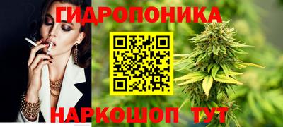 a pvp Тара